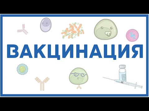 Видео: Какой иммунитет у вакцины?
