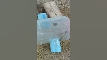 Easy Mouse Trap For Home Part 02