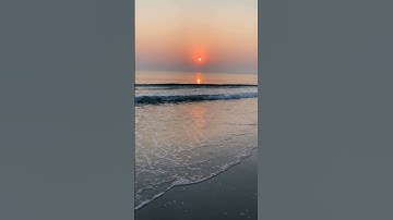 Climate Change Adaptation Strategies for a Resilient Future #popularscience #shorts