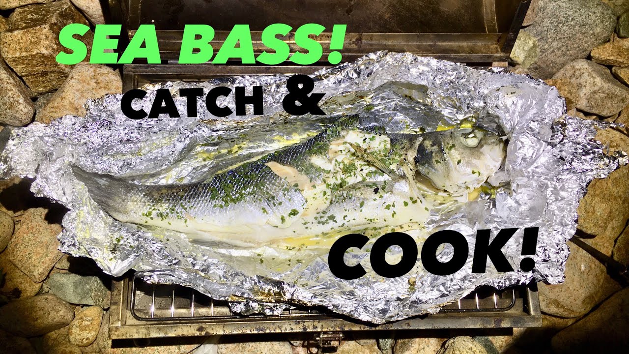 BASS / Catch, Clean, Cook ! Cooking Bass on the Beach , Bass Fishing
