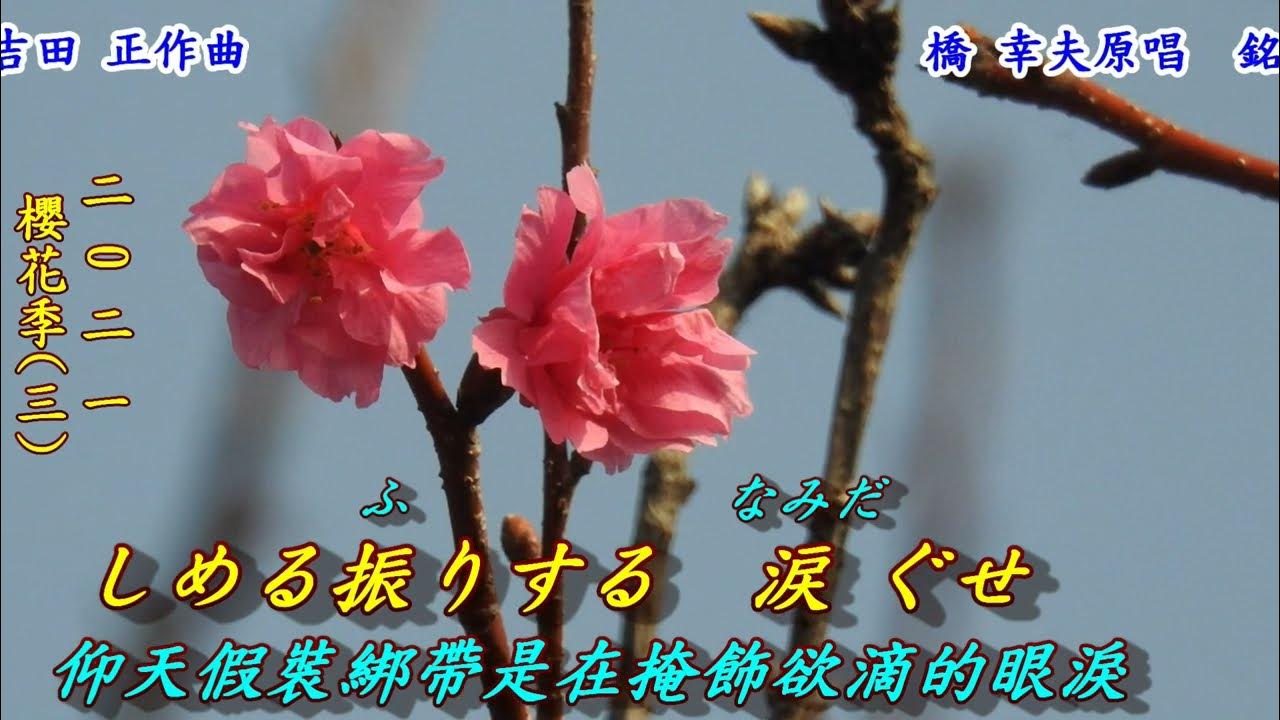 磯ぶし源太(唱海濱小調的源太)1961(日語橋幸夫+翻譯)銘哥翻唱[台語版:思念故鄉的姑娘(葉啟田);三兄妹流浪記(洪弟七+尤美+尤鳳