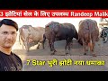 Randeep malik  3            16    quality king 