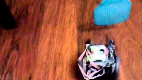 Parallax SumoBot I built