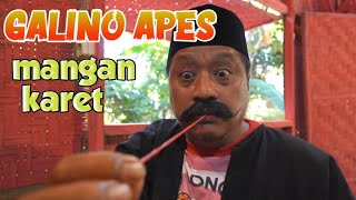 GALINO MANGAN KARET PENTIL ‼️ WOKO CHANNEL