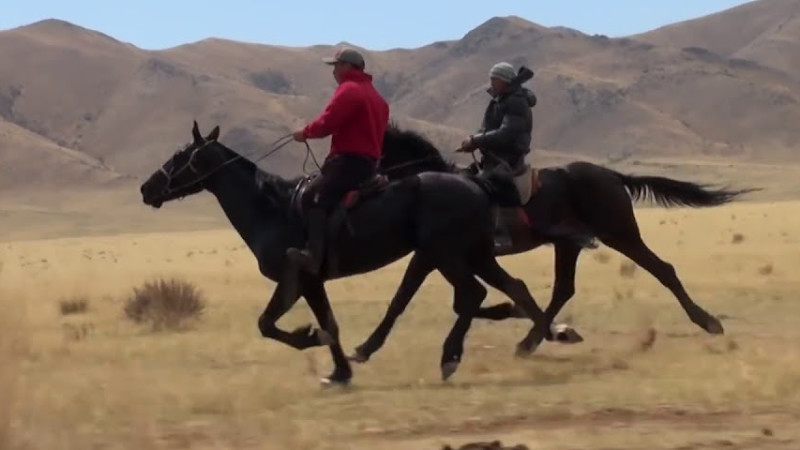 Ансамбль "Тыва" -"Эзир-Кара"(Орел Вороной)/Сл.Ч.Кара-Куске, Муз.Д.Д.Сат