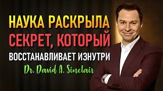 видео: Ученые раскрывают: Этот напиток пробуждает ваши спящие клетки (Дэвид Синклер) картинка: Ученые раскрывают: Этот напиток пробуждает ваши спящие клетки (Дэвид Синклер)