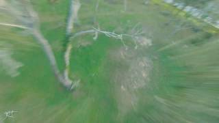 The Flight With Cody and Charlie
