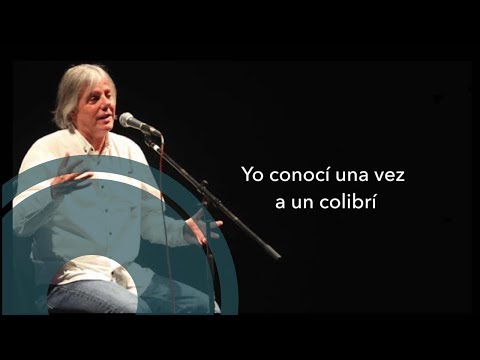 Virulo - El Colibrí [Official Lyrics Video]