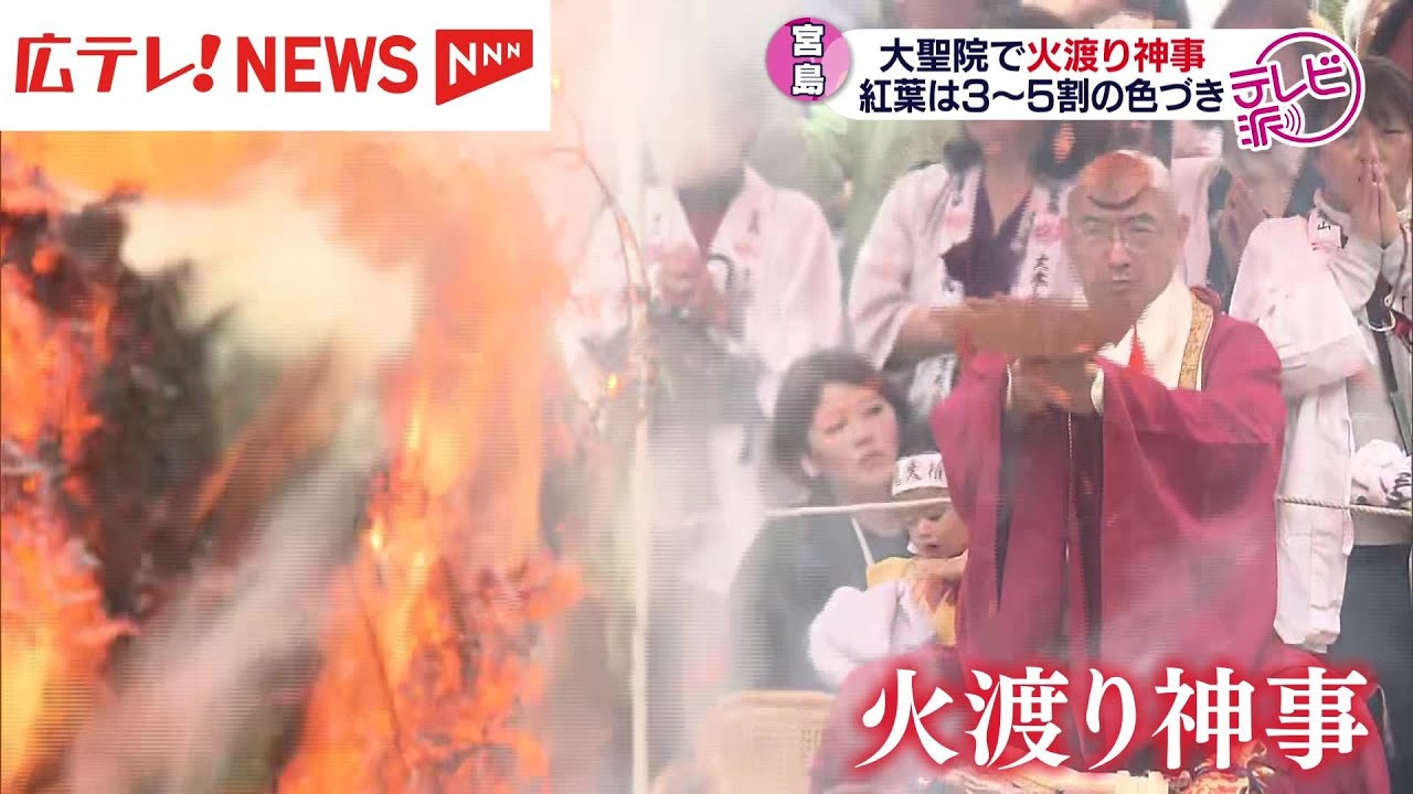 宮島で火渡り神事 紅葉はまだ半分ほどの色づき - YouTube 宮島で火渡り神事 紅葉はまだ半分ほどの色づき - YouTube
