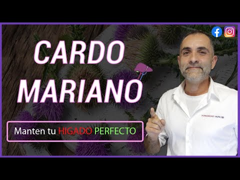 CARDO MARIANO. Protege tu hígado YA y mucho MÁS