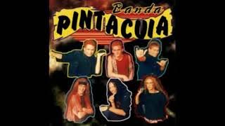 Banda Pinta Cuia - Amor E Sedução (2001)