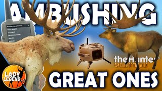 Will the AMBUSHER DLC Give You a GREAT ONE?!?  - Call of the Wild in Early Access