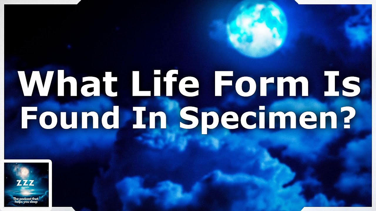 What Life Form Is Found In Specimen? YouTube