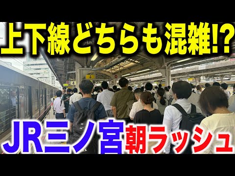 【次々発車】JR神戸線三ノ宮駅の平日朝ラッシュを観察