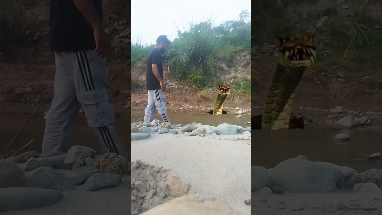 Funny snake video vfx magic video 