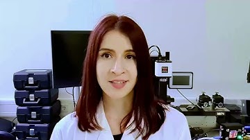 Katalin Szász, Senior Failure Analysis Engineer at Renesas
