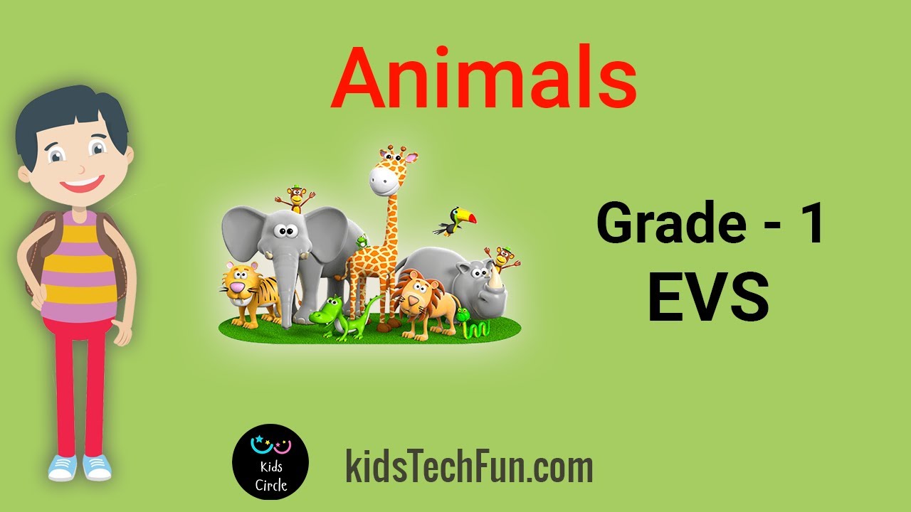 Types of Animals - Class 1 - EVS - CBSE Curriculum - YouTube