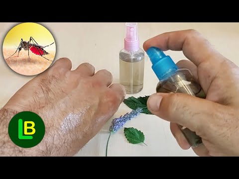 Vídeo: Plantes que repel·leixen puces i paparres: elaboració de pols naturals de puces i paparres