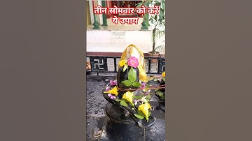 तीन सोमवार को करें ये उपाय अशोकसुंदरी पर बेलपत्र #pradeepmishra  #shiv #om