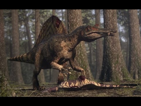 Spinosaurus vs Carcharodontosaurus | The balance of power | Planet Dinosaur | BBC