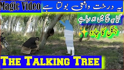 When the Tree Started Talking 🌲 | Real Forest VFX Magic #usmanvfxwala
