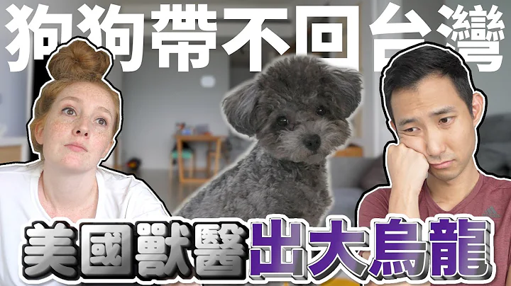 狗狗沒辦法帶回台灣老婆超不爽!! 美國獸醫出大烏龍!!【劉沛 VLOG】 - 天天要聞