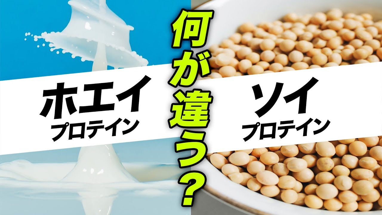 ソイ ホエイ 違い プロテイン ホエイプロテインとソイプロテインの違いは？筋トレにオススメなのはどっち？