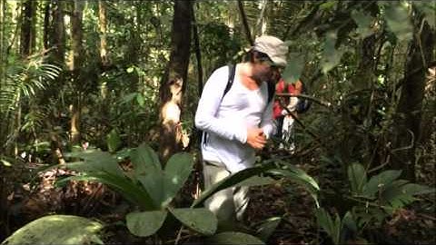 GFOI Biomass Workshop