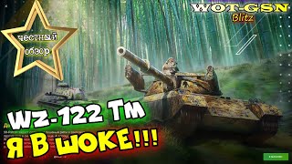 WZ-122 TM - Он Тебя УДИВИТ! ЧЕСТНЫЙ ОБЗОР! Не быстрый, но ГОДНЫЙ СТ в wot Blitz 2023 | WOT-GSN