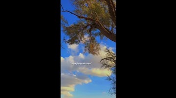 قرآن كريم بصوت القارئ عبدالرحمن مسعد  | حالات واتس اب دينية - سورة العنكبوت