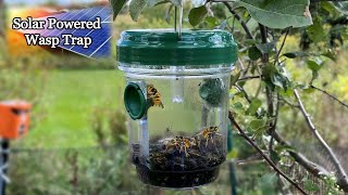 Solar-Powered Wasp Trap: Your Ultimate Outdoor Pest Solution!