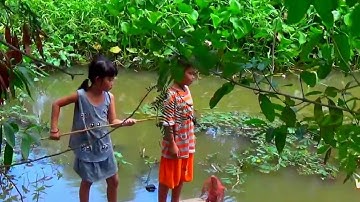 Cảnh quang những cánh đồng ngập nước vào mùa nước nổi, An Giang 15/9/2017