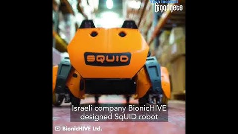 Bionic Hive|Squid Warehouse Logistics Robot|#shorts