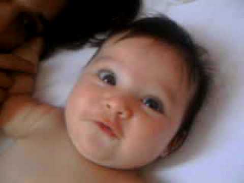 PICT26559