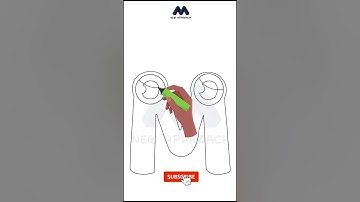 Draw M Alphabet Lore #Shorts