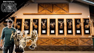 The Top 20 BUCKS From The Ohio Whitetail HALL OF FAME! #WhitetailCribs