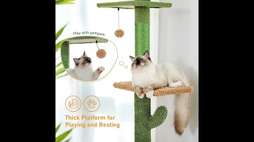 Cactus Cat Tree Floor