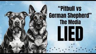Pitbull vs German Shepherd — The Media Lied to You About… And Your Dog Knows It