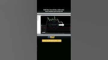 Flex: Robô Trader mais completo do Mercado Financeiro