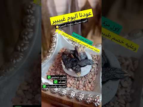 عود كلمنتان القرزعي للعود