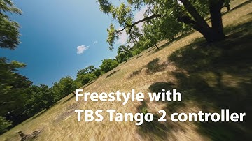 freestyle flight with new TBS tango 2 controller