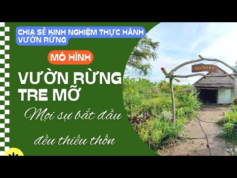 Video Mô Hình Vườn Rừng Tre Mỡ - Mọi sự bắt đầu đều thiếu... - youtube