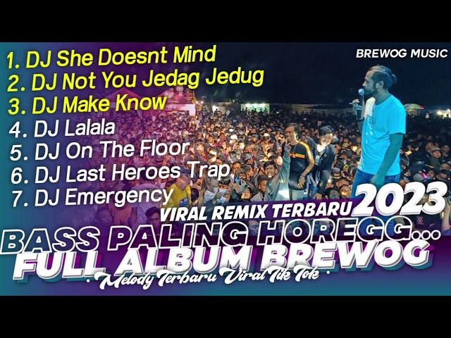 DJ FULL ALBUM BREWOG - BASS PALING HOREGG | DJ SHE DOESNT MIND, NOT YOU, MAKE KNOW class=