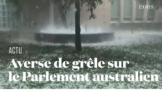 Une averse de grêle détruit les arbres du Parlement Australien