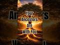 Ancestral Connection Affirmations - Call On Your Ancestors For Guidance & Protection 🙏🏾