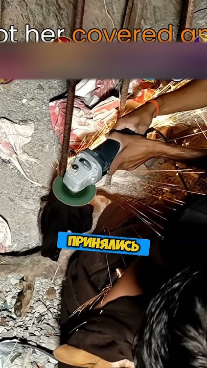 Экстренное СПАСЕНИЕ Собаки Обернулось В😱☠️ - YouTube