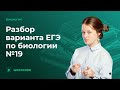 🦠Разбор варианта ЕГЭ по биологии №19