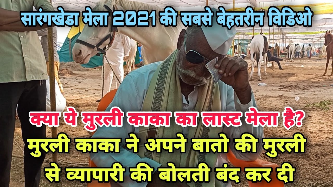 आज तक का सारंगखेडा मंडी का सबसे खतरनाक डिल मुरली काका ने कैसे की एक बार देख ही लो।।Chetak Festival