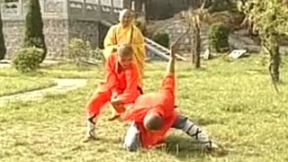 Shaolin Kung Fu: Luohan hands fighting techniques