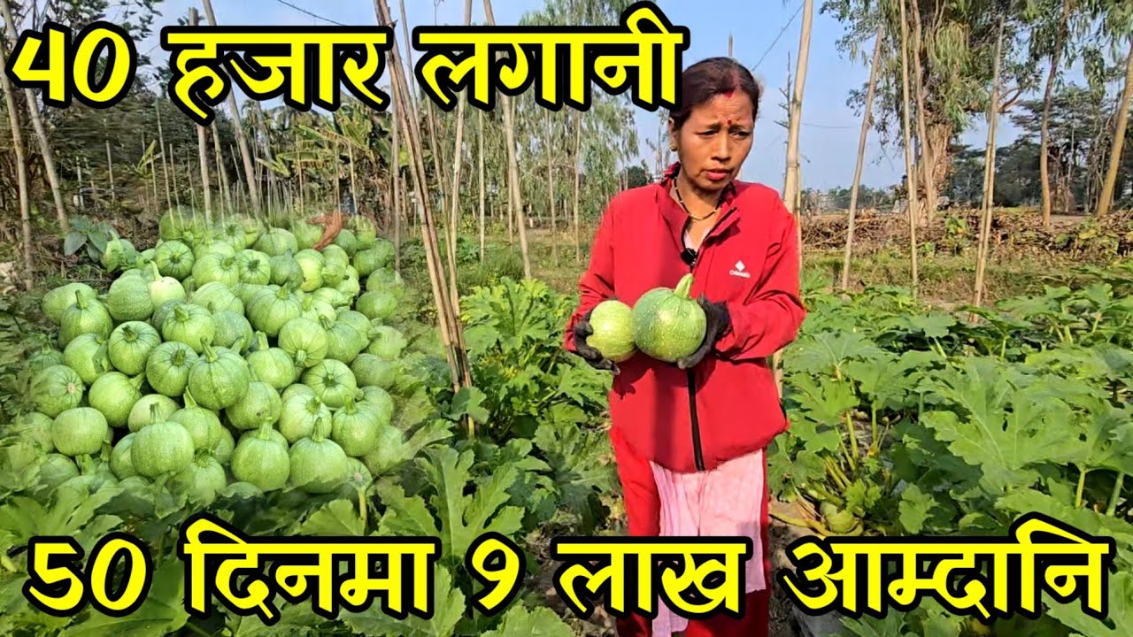 तरकारी खेती गरेर छोरा छोरी युरोप र जापान पठाएकी तामाङ्नी दिदी village vegetable farming